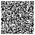 QR code with Intimo contacts