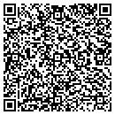 QR code with Catskill Chiropractic contacts