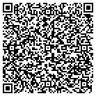 QR code with Pulsar Electrical Installation contacts