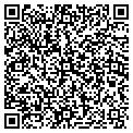 QR code with New York Pets contacts