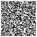 QR code with Pro Magic Inc contacts