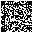 QR code with Consumers Energy Inc contacts