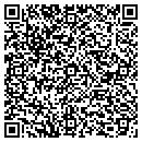 QR code with Catskill Maintenance contacts