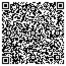 QR code with Public Abstract Corp contacts