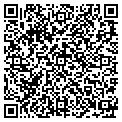 QR code with Cscout contacts