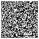 QR code with Pyramid Grocery contacts