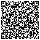 QR code with Pt Movers contacts