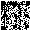 QR code with W W S contacts