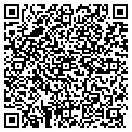 QR code with AJM Co contacts