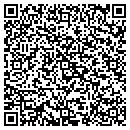 QR code with Chapin Productions contacts