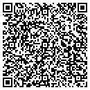 QR code with BICYCLEPAINTINGS.COM contacts