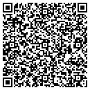 QR code with Pulaski Public Library contacts