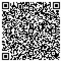 QR code with Subway contacts