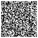 QR code with Professional Computers contacts