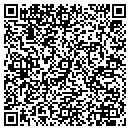 QR code with Bistrian contacts