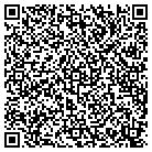 QR code with C2z Consulting & Beyond contacts