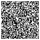 QR code with Progress Inc contacts