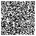 QR code with Curtis contacts