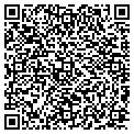 QR code with Modal contacts