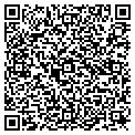 QR code with Ceglic contacts