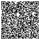 QR code with China Enterprises Inc contacts