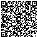 QR code with Vigmac contacts