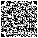 QR code with Cp's Dairy Delicious contacts