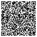 QR code with Amvets contacts