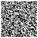 QR code with Public Service contacts