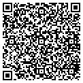 QR code with WSEO contacts