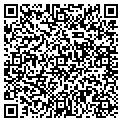 QR code with Lilico contacts