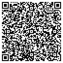 QR code with Public Design Co contacts