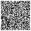 QR code with Precise Tool contacts