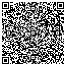 QR code with Pub Cafe The contacts