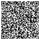 QR code with Carry Ridgeview Out contacts