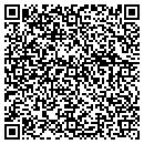 QR code with Carl Solway Gallery contacts