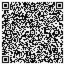 QR code with Pulse Journal contacts