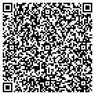 QR code with Pulmonary Solutions Inc contacts