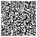 QR code with Celoseal Roofing Inc contacts