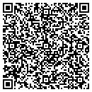 QR code with Camerina's Day Spa contacts