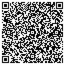 QR code with Professional Services contacts