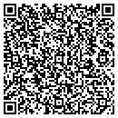 QR code with Precise Painting Plus contacts