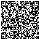 QR code with Professional Styles contacts
