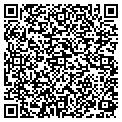 QR code with Dogn-It contacts