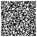 QR code with Cobra Systems Inc contacts