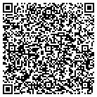 QR code with Chelko Consulting Group contacts