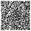 QR code with Clinto Court Apt contacts