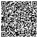 QR code with Nugin contacts