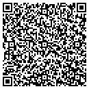 QR code with Carruth Studio Inc contacts
