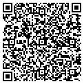 QR code with Davida contacts